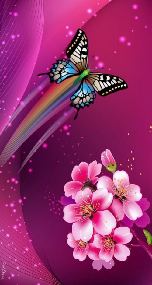 HD Butterfly Wallpaper - EnWallpaper