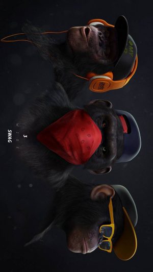 Monkey Wallpaper - EnWallpaper