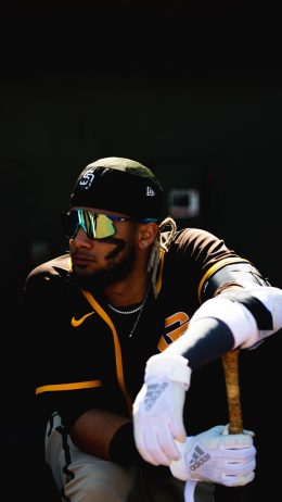 Background Fernando Tatis Jr Wallpaper