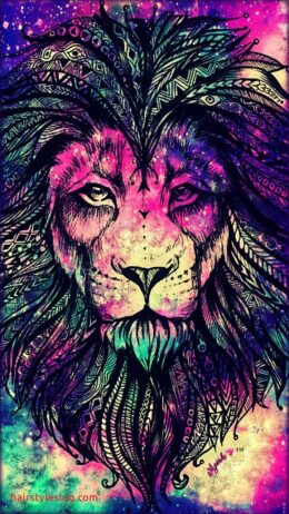 Lion Wallpaper