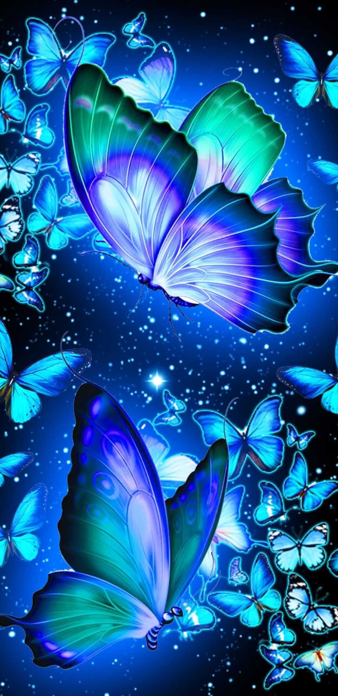 Butterfly Wallpaper - EnWallpaper
