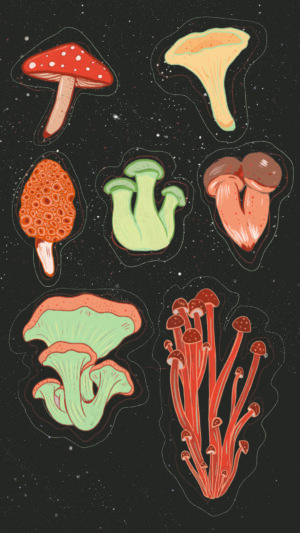 Mushroom Wallpaper - EnWallpaper
