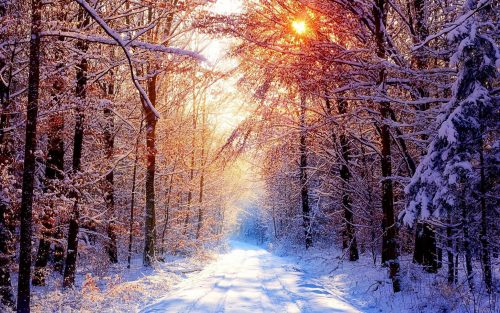 Winter Scenes Wallpaper