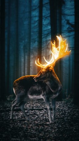 Deer Wallpaper