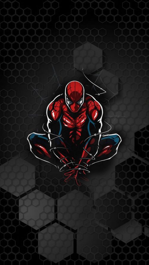 Spiderman Background Wallpaper