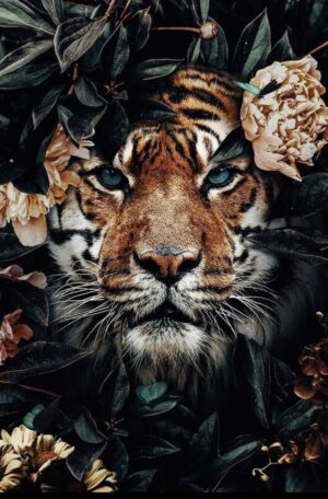 Background Tiger Wallpaper - EnWallpaper