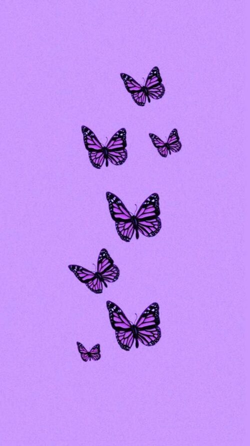 Background Butterfly Wallpaper - EnWallpaper