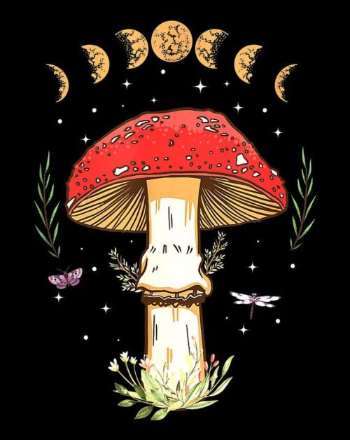 Background Mushroom Wallpaper