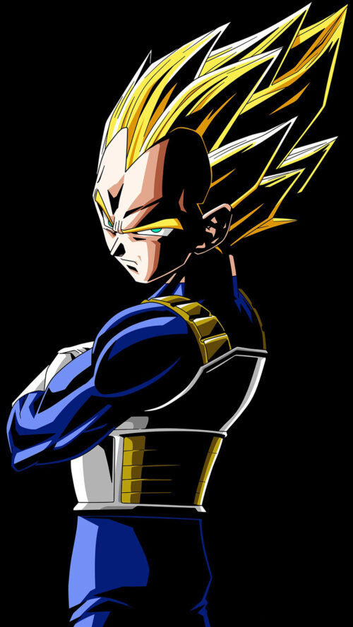 Background Vegeta Wallpaper