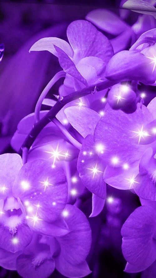 Background Cute Purple Wallpaper