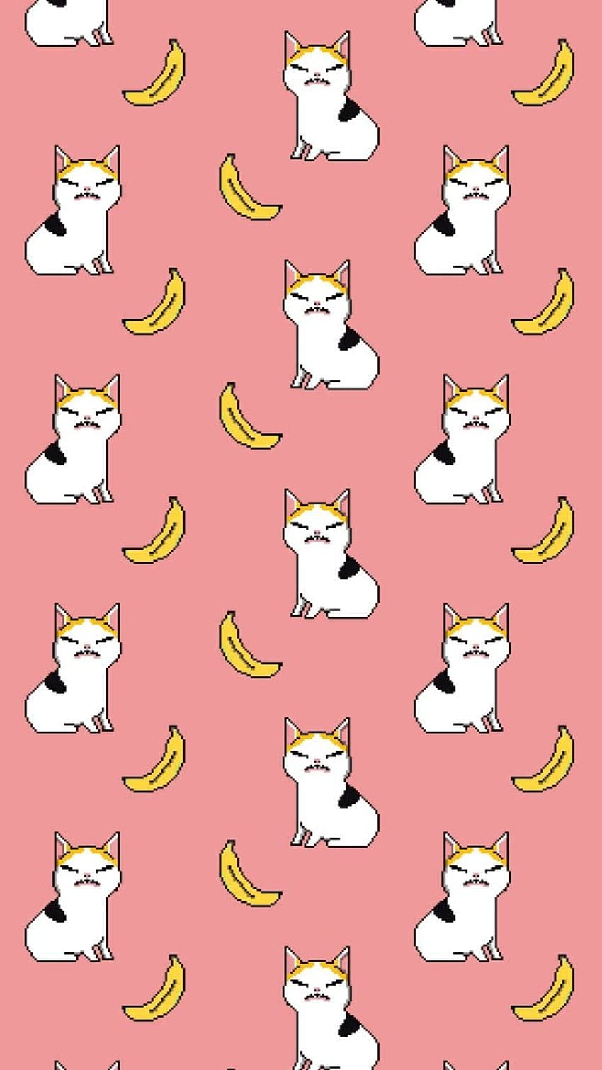 Background Banana Cat Wallpaper