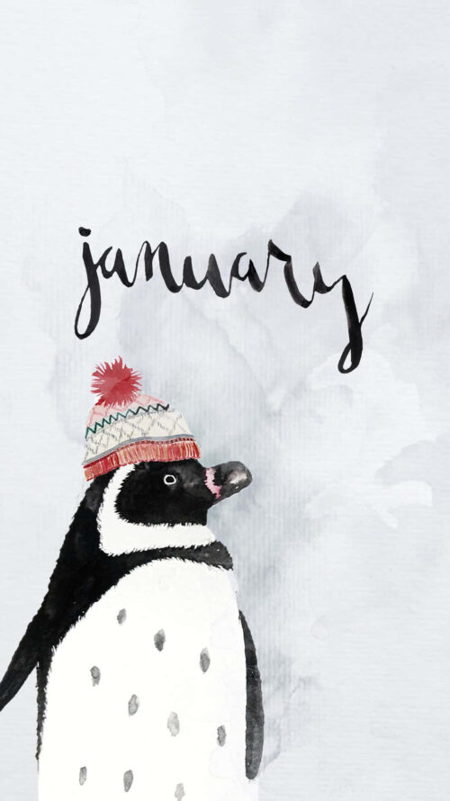 Cute January Wallpaper