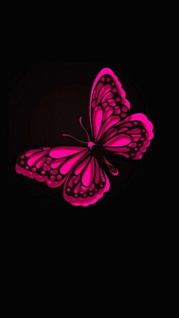 Background Butterfly Wallpaper