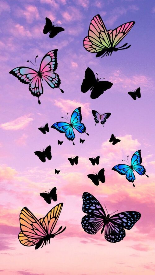 Background Butterfly Wallpaper