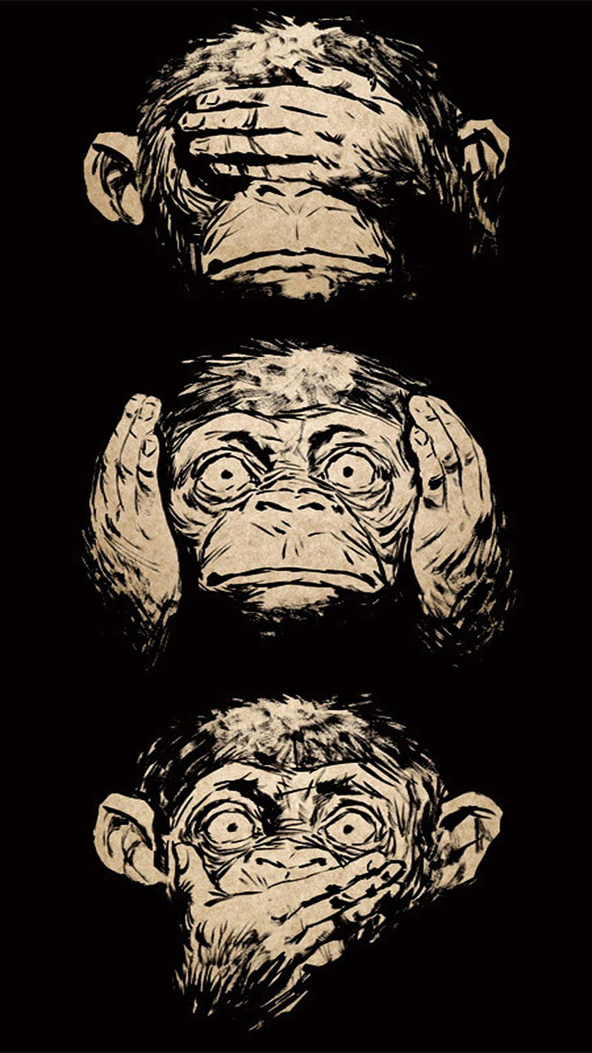 Background Monkey Wallpaper