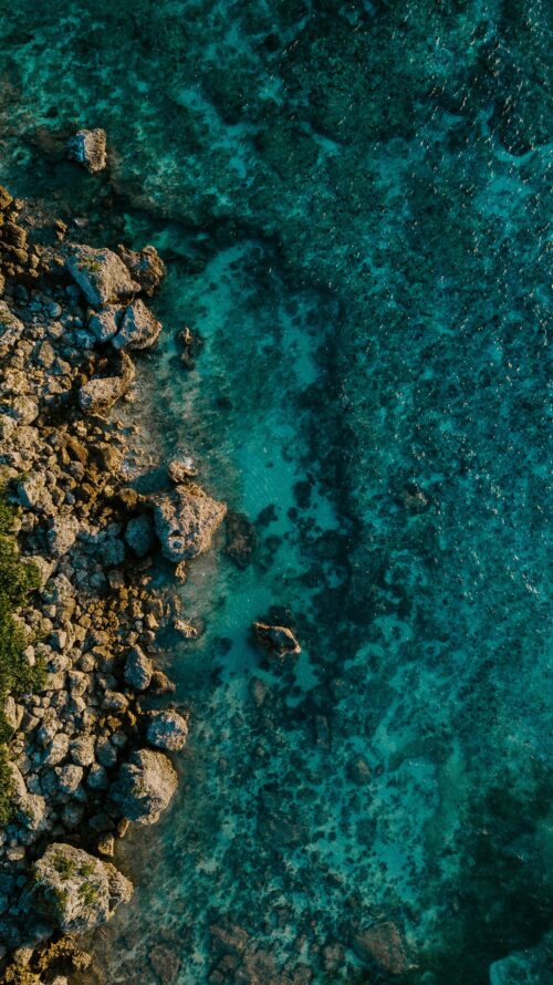 Sea Wallpaper