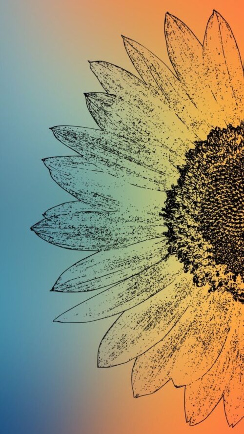 Sunflower Wallpaper