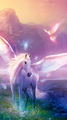 Unicorn Wallpaper