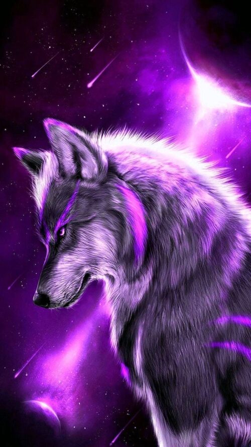 Wolf Wallpaper