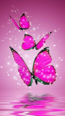 Background Butterfly Wallpaper