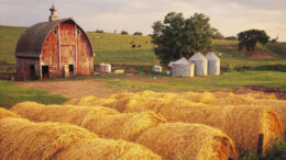 Farm Desktop Wallpaper