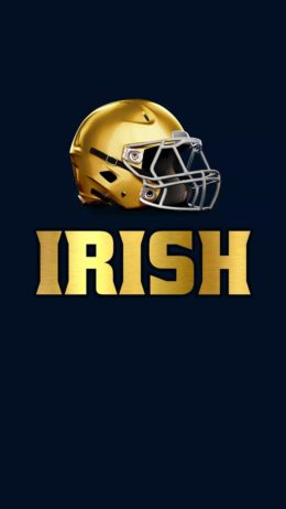 Background Notre Dame Wallpaper