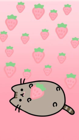 Background Pusheen Wallpaper