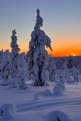 Background Winter Wallpaper