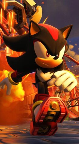 Shadow She Hedgehog Wallpaper