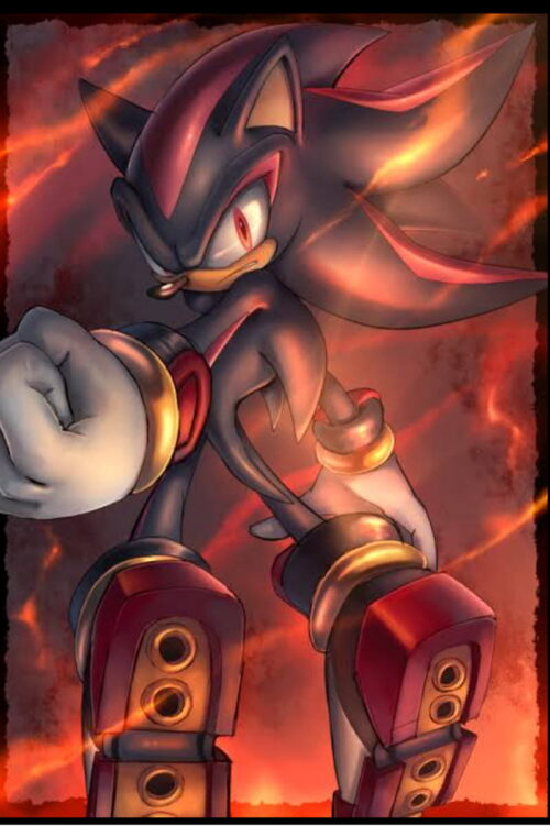 Shadow She Hedgehog Wallpaper