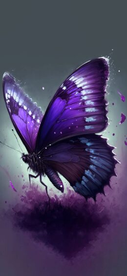 Background Butterfly Wallpaper