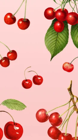 Background Cherry Wallpaper