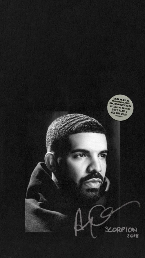 Background Drake Wallpaper